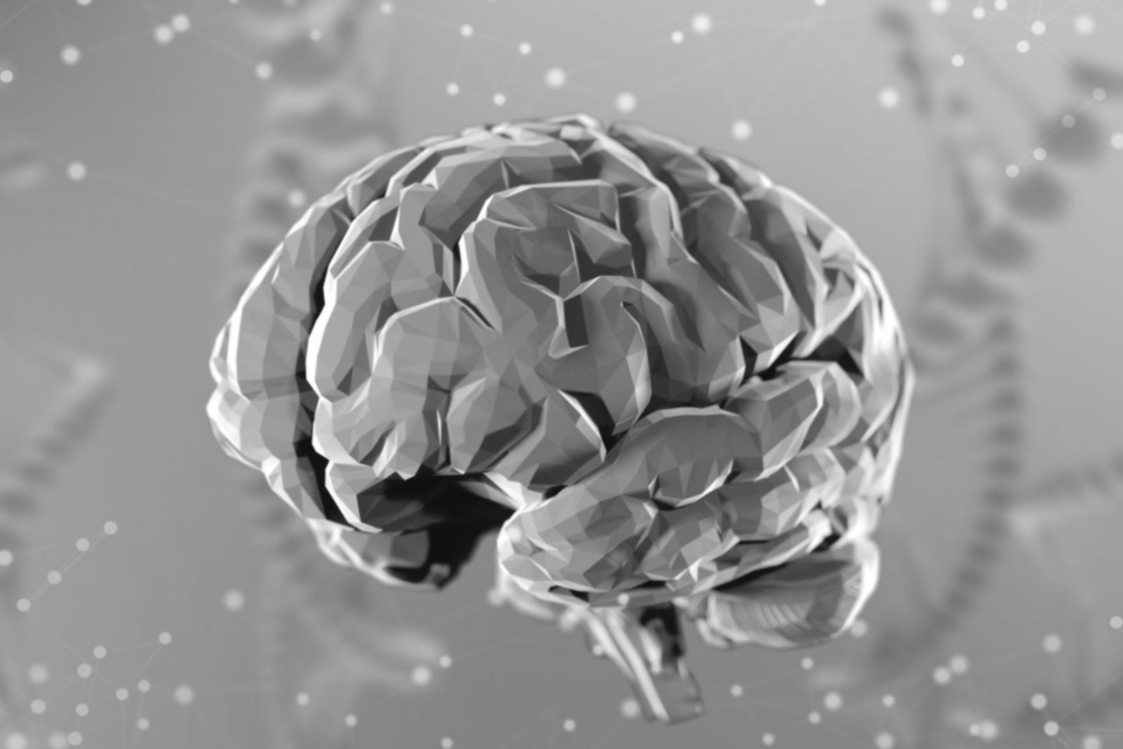Zespół kuwovee przy pracy nad systemem prognozowania budżetowego